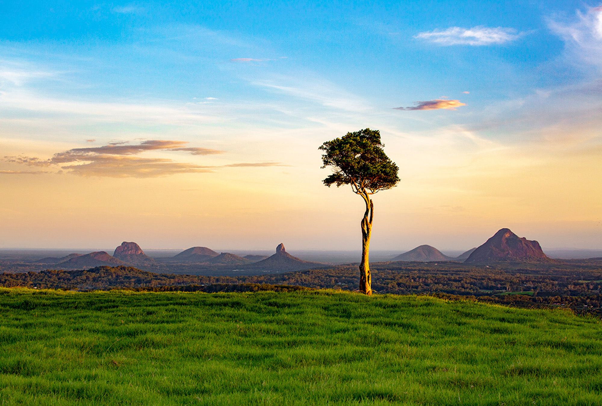 One Tree Hill Maleny One Tree Hill Maleny