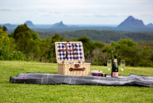 Picnic Basket Engagement