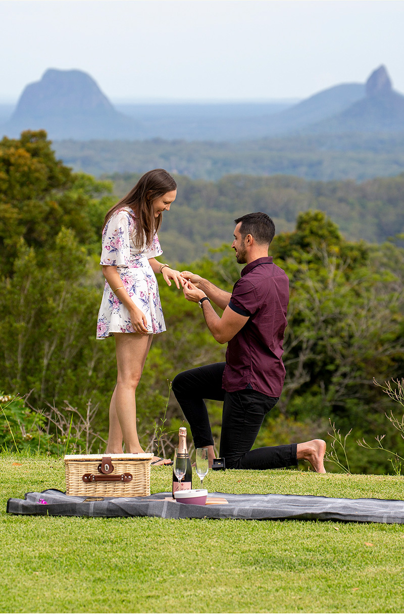 She Said Yes!